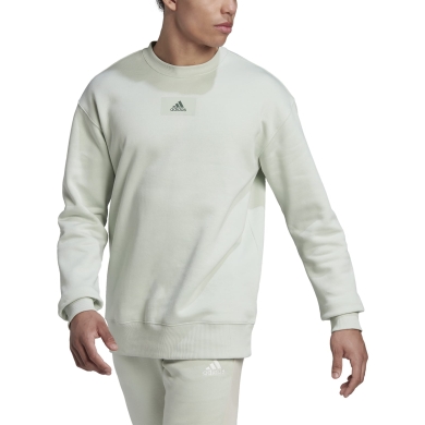 adidas Pullover Essentials Feelvivid Baumwolle (Rundhals, locker geschnitten) grün Herren